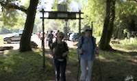 img6