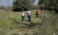 img47