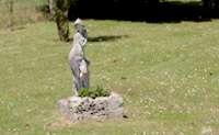 img99