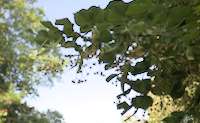 img15