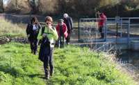 img78