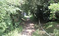 img75