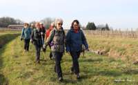 img50