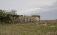 img40
