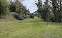 img74