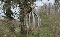 img98