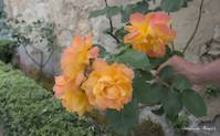 img27