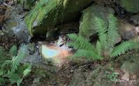 img65