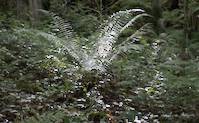 img123