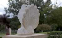 img43