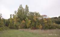 img40
