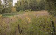 img47