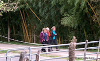 img12