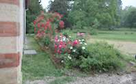 img13