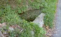 img121