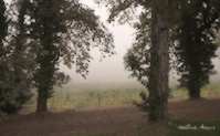 img46