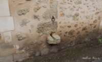 img11