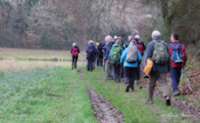 img101