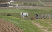 img120