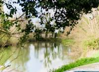 img52