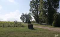 img6